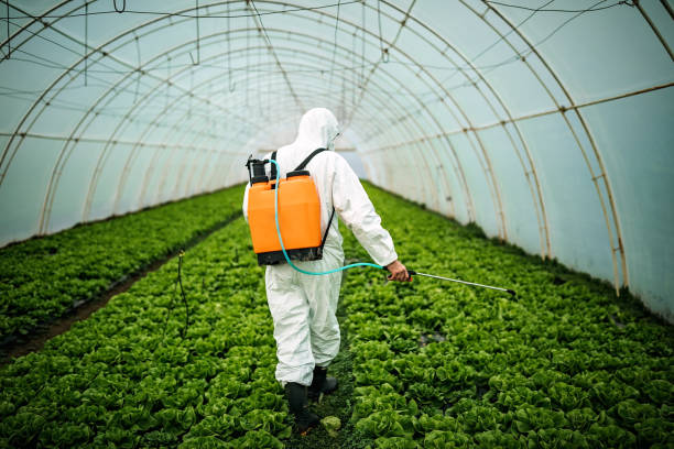 Best Pest Control Cost  in Pomeroy, WA