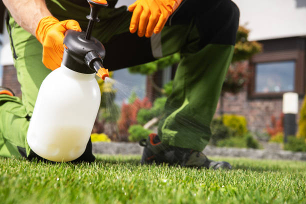 Best Pest Prevention Services  in Pomeroy, WA