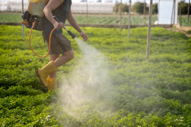Best Ant Control Services  in Pomeroy, WA