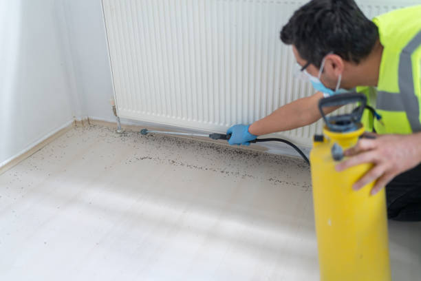 Best Emergency Pest Control  in Pomeroy, WA