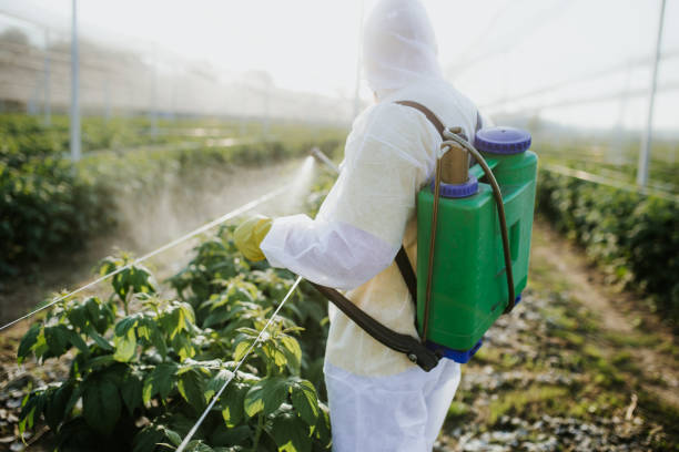 Best Wasp Removal Services  in Pomeroy, WA